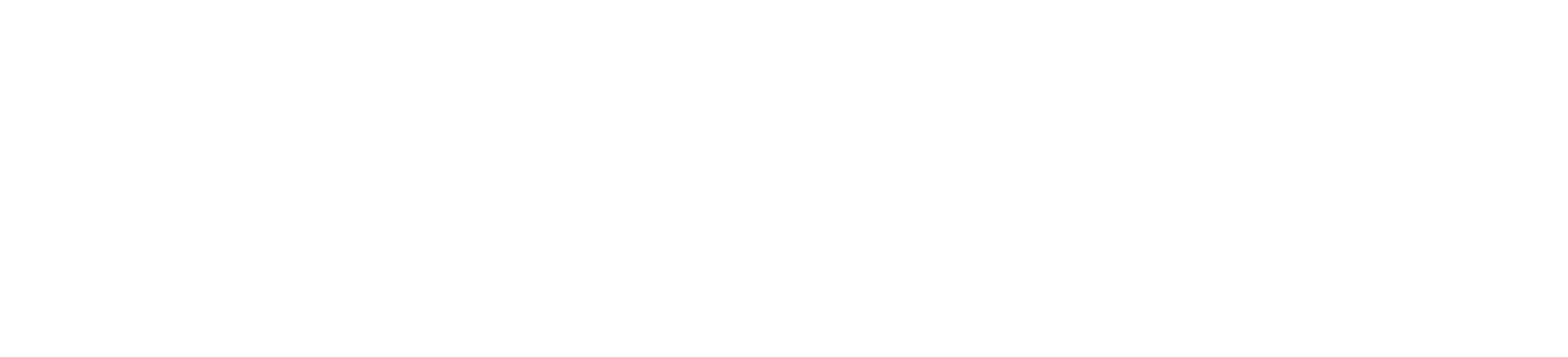 Logo Tor Vergata